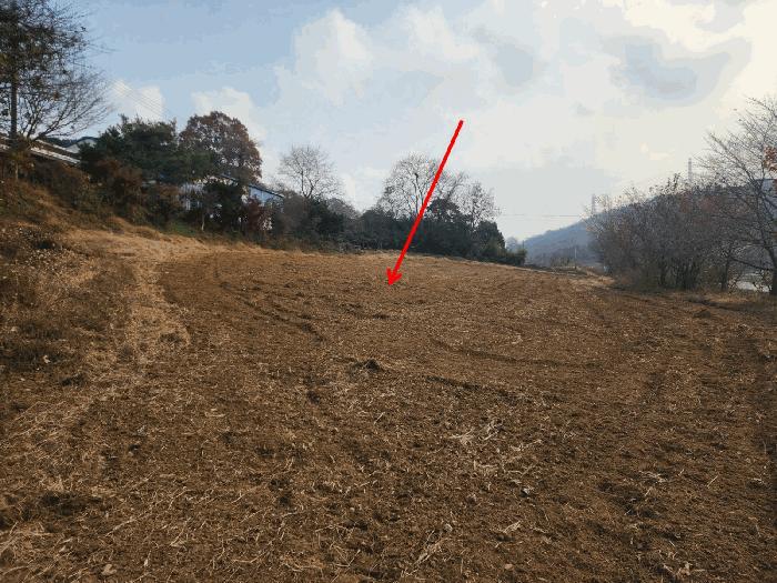 충청남도 당진시 송악읍 가학리 286-5 과수원 경매 사진 18