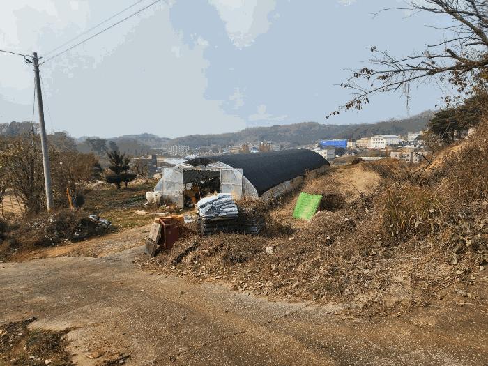 충청남도 당진시 송악읍 가학리 286-5 과수원 경매 사진 19