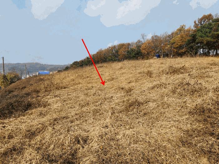 충청남도 당진시 송악읍 가학리 286-5 과수원 경매 사진 20