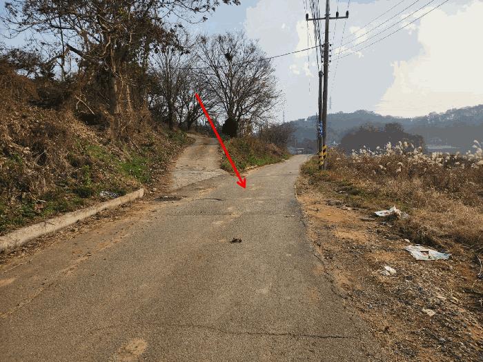 충청남도 당진시 송악읍 가학리 286-5 과수원 경매 사진 21