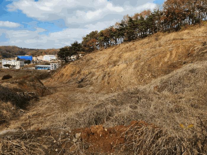 충청남도 당진시 송악읍 가학리 286-5 과수원 경매 사진 22