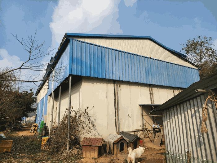 충청남도 당진시 송악읍 가학리 286-5 과수원 경매 사진 23