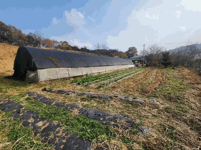 충청남도 당진시 송악읍 가학리 286-5 과수원 경매 사진 27