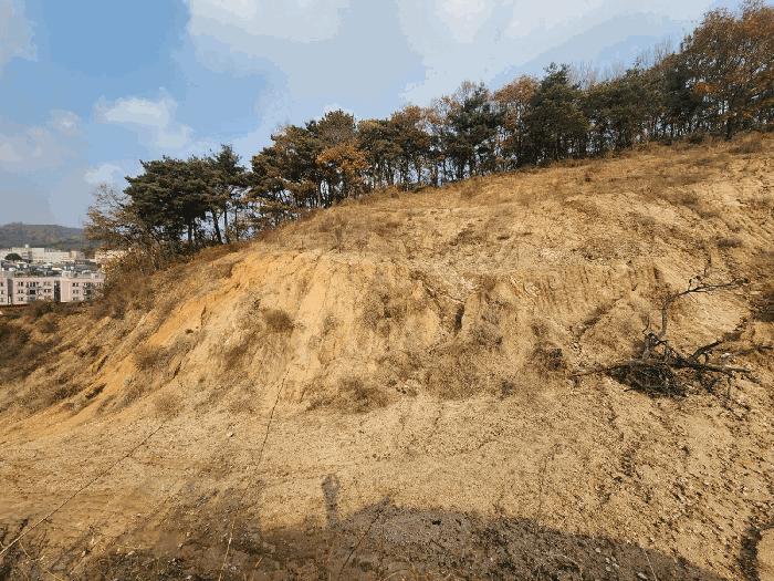 충청남도 당진시 송악읍 가학리 286-5 과수원 경매 사진 30