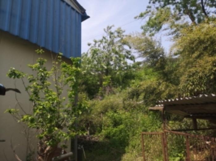 충청남도 당진시 송악읍 가학리 286-5 과수원 경매 사진 37