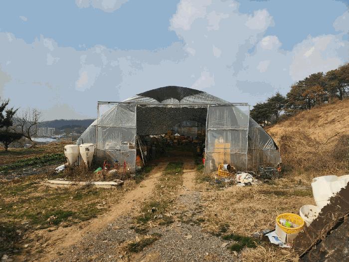 충청남도 당진시 송악읍 가학리 286-5 과수원 경매 사진 4