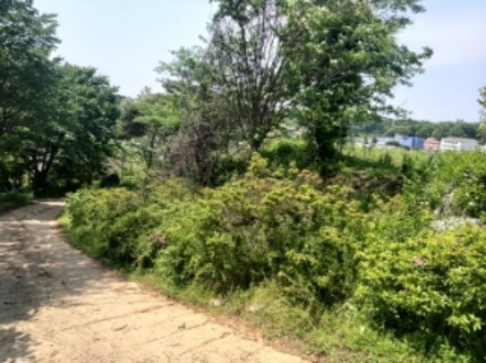 충청남도 당진시 송악읍 가학리 286-5 과수원 경매 사진 47