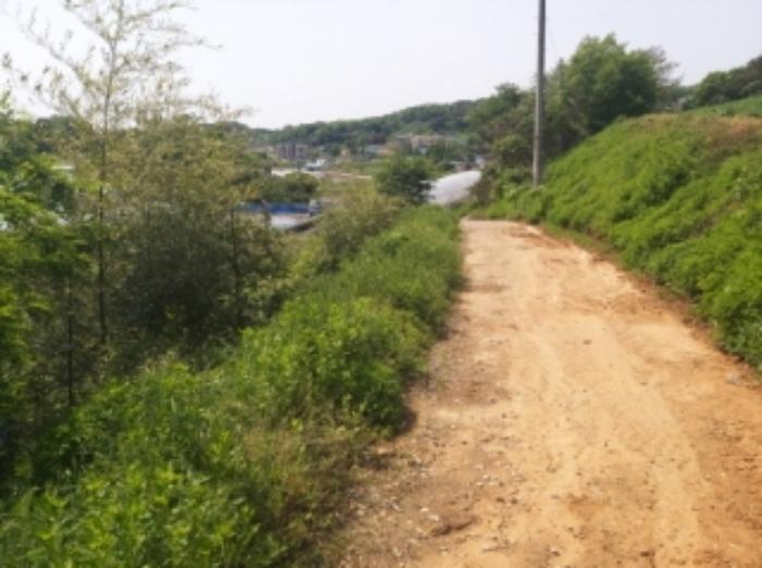 충청남도 당진시 송악읍 가학리 286-5 과수원 경매 사진 79
