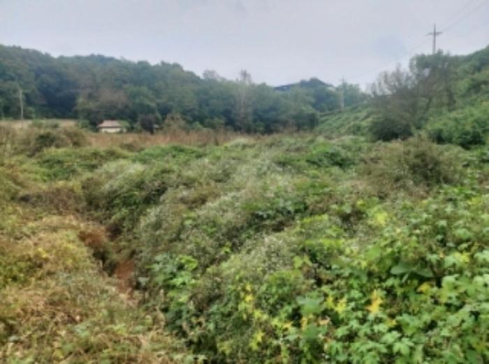 충청남도 당진시 송악읍 영천리 161 전 경매 사진 28