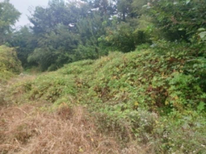 충청남도 당진시 송악읍 영천리 162 전 경매 사진 16