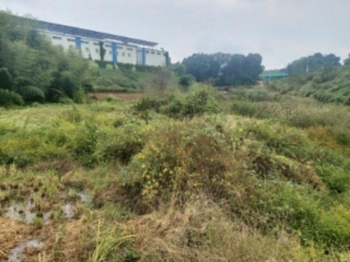 충청남도 당진시 송악읍 영천리 162 전 경매 사진 20