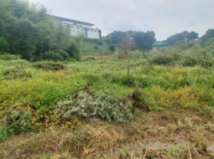 충청남도 당진시 송악읍 영천리 162 전 경매 사진 22
