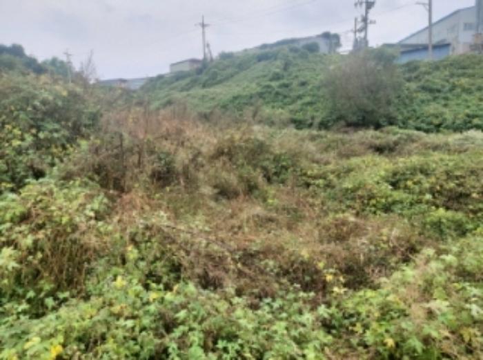 충청남도 당진시 송악읍 영천리 162 전 경매 사진 24
