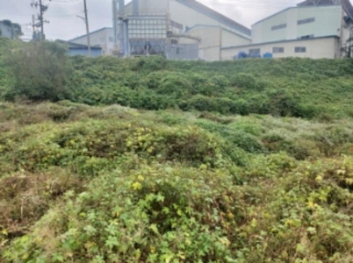 충청남도 당진시 송악읍 영천리 162 전 경매 사진 25