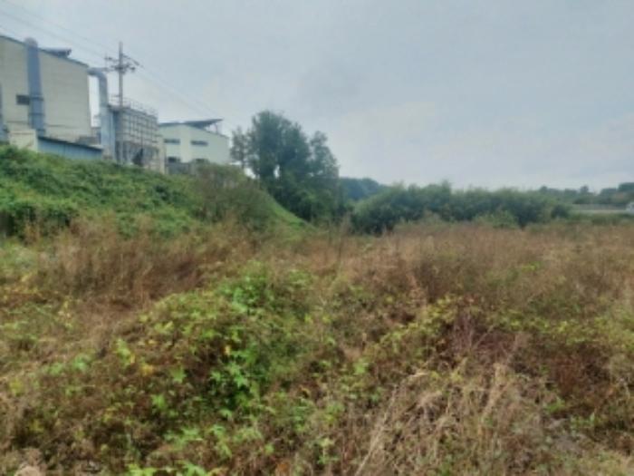 충청남도 당진시 송악읍 영천리 162 전 경매 사진 34