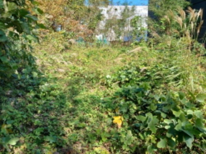 충청남도 당진시 석문면 통정리 348-9 임야 경매 사진 10