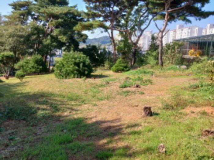 충청남도 당진시 석문면 통정리 348-9 임야 경매 사진 12