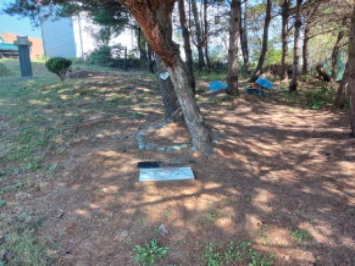 충청남도 당진시 석문면 통정리 348-9 임야 경매 사진 17