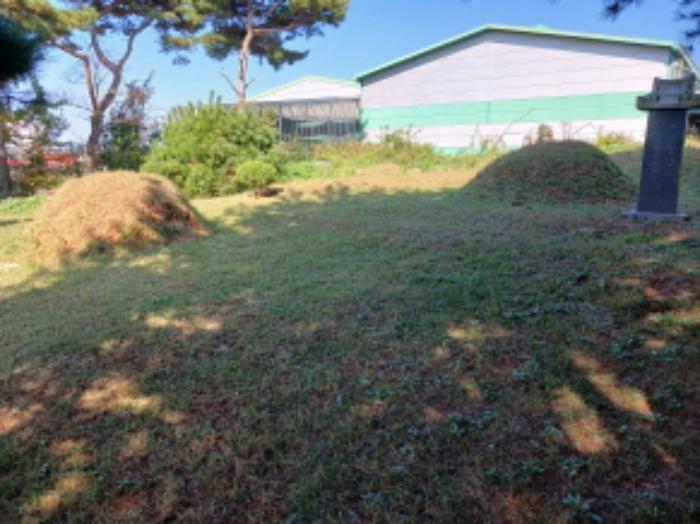 충청남도 당진시 석문면 통정리 348-9 임야 경매 사진 18