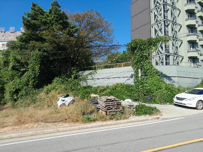 충청남도 당진시 석문면 통정리 348-9 임야 경매 사진 4