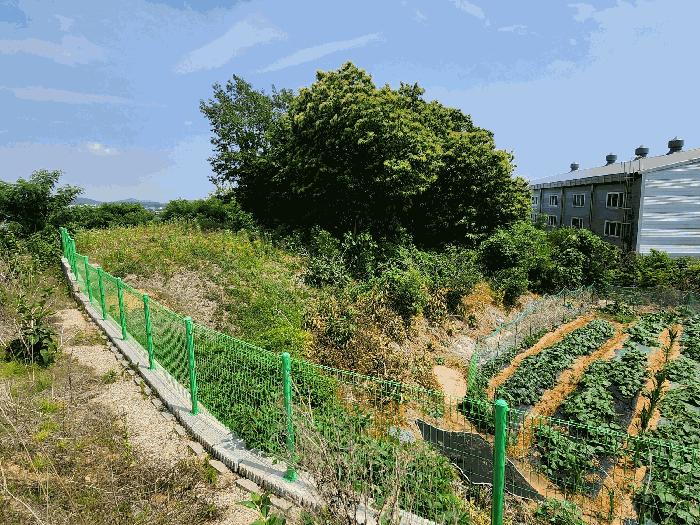 경기도 화성시 장안면 사곡리 289-6 전 경매 사진 11