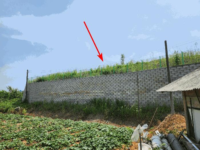 경기도 화성시 장안면 사곡리 289-6 전 경매 사진 17