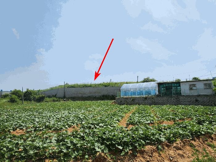 경기도 화성시 장안면 사곡리 289-6 전 경매 사진 18