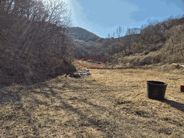 경상북도 영천시 화남면 온천리 391 전 경매 사진 1