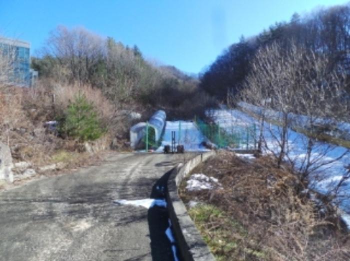강원특별자치도 평창군 용평면 도사리 108-2 임야 경매 사진 25
