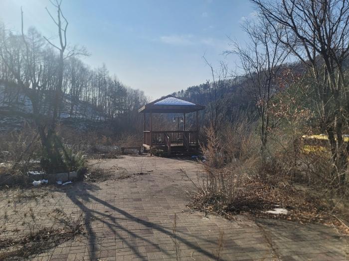 강원특별자치도 평창군 용평면 도사리 108-2 임야 경매 사진 3
