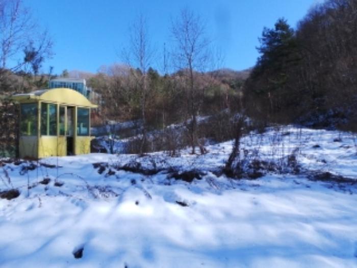 강원특별자치도 평창군 용평면 도사리 110 전 경매 사진 14