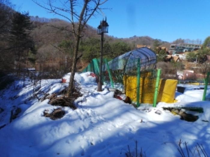 강원특별자치도 평창군 용평면 도사리 110 전 경매 사진 22