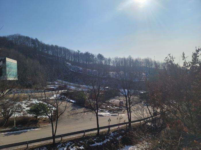 강원특별자치도 평창군 용평면 도사리 110 전 경매 사진 28