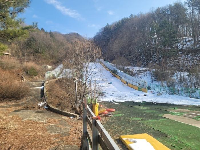 강원특별자치도 평창군 용평면 도사리 110 전 경매 사진 5