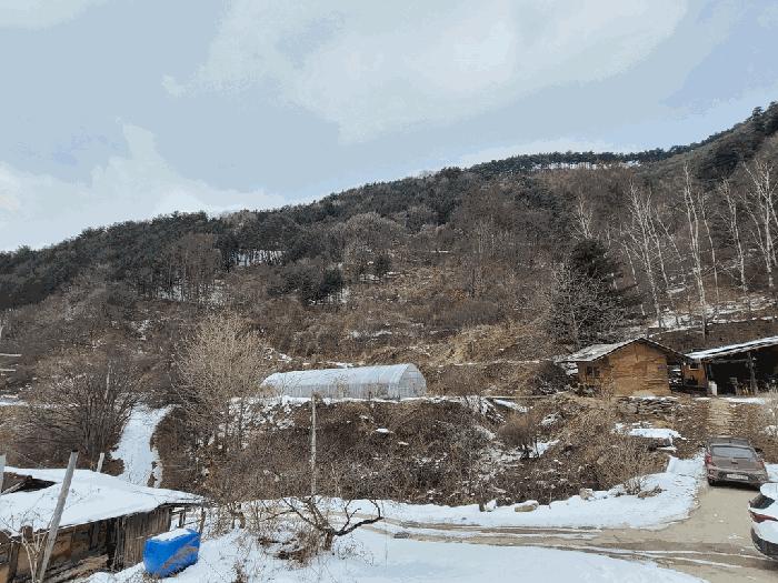강원특별자치도 정선군 남면 유평리 200 전 경매 사진 2
