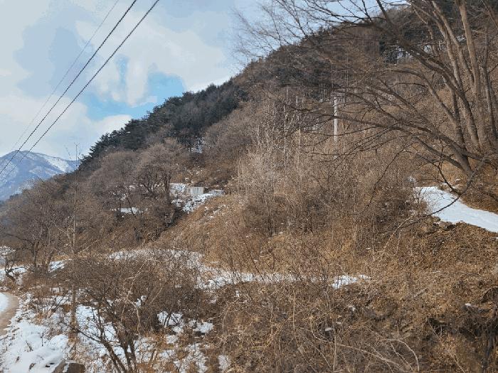 강원특별자치도 정선군 남면 유평리 200 전 경매 사진 5