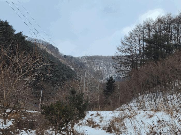 강원특별자치도 정선군 남면 유평리 200 전 경매 사진 6