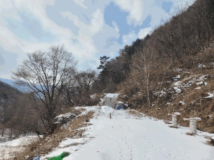 강원특별자치도 정선군 남면 유평리 200 전 경매 사진 8
