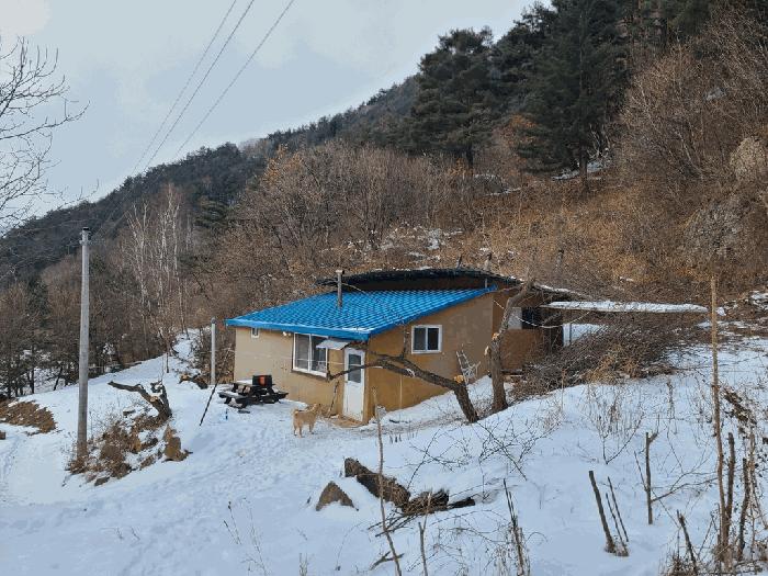 강원특별자치도 정선군 남면 유평리 200 전 경매 사진 9