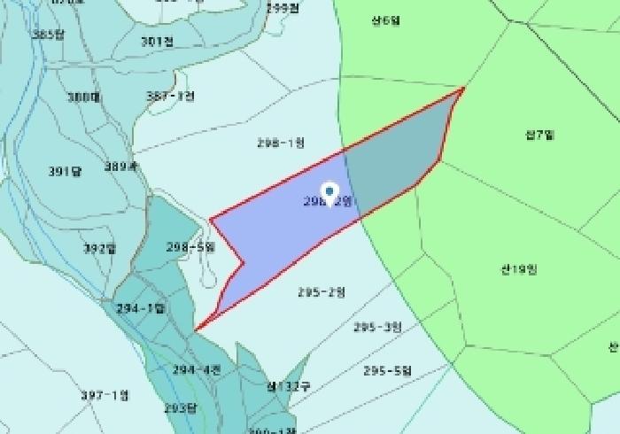 세종특별자치시 연서면 신대리 298-2 임야 경매 사진 13