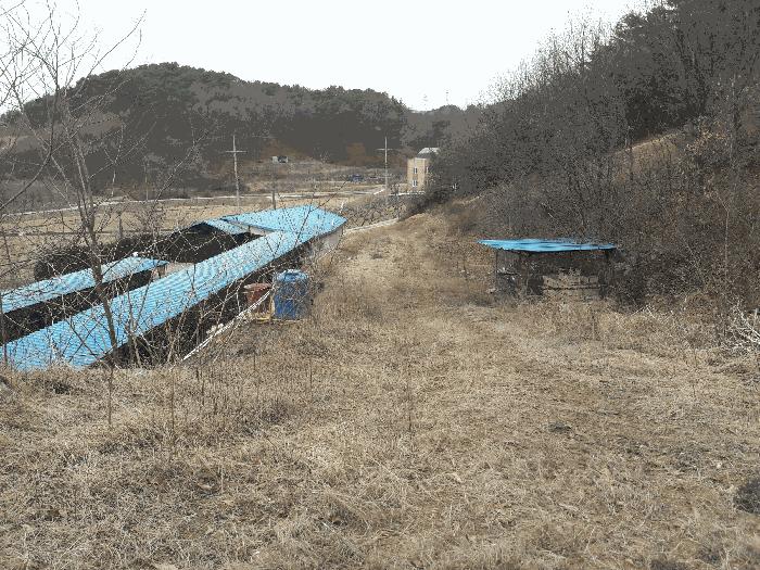 세종특별자치시 연서면 신대리 298-2 임야 경매 사진 2