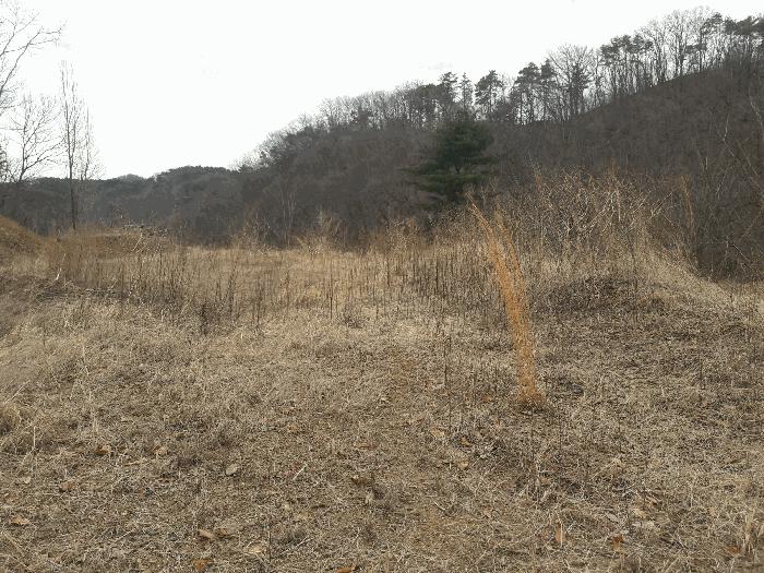 세종특별자치시 연서면 신대리 298-2 임야 경매 사진 4