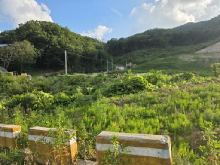 경상북도 성주군 금수강산면 후평리 산74-5 임야 경매 사진 10