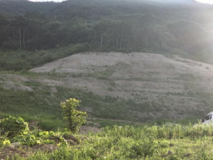 경상북도 성주군 금수강산면 후평리 산74-5 임야 경매 사진 11