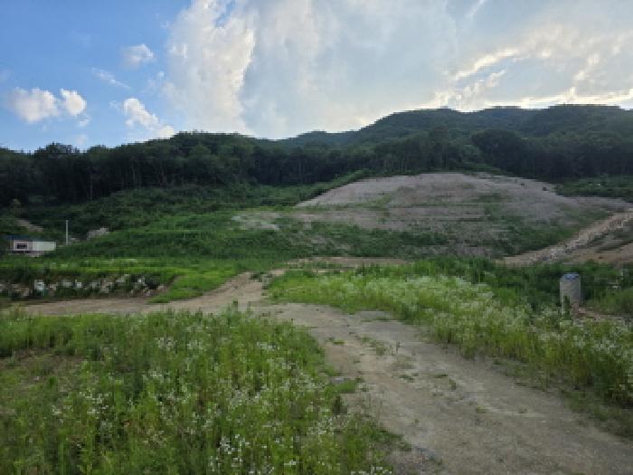 경상북도 성주군 금수강산면 후평리 산74-5 임야 경매 사진 7