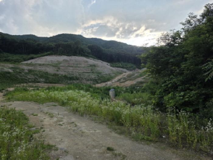 경상북도 성주군 금수강산면 후평리 산74-5 임야 경매 사진 9