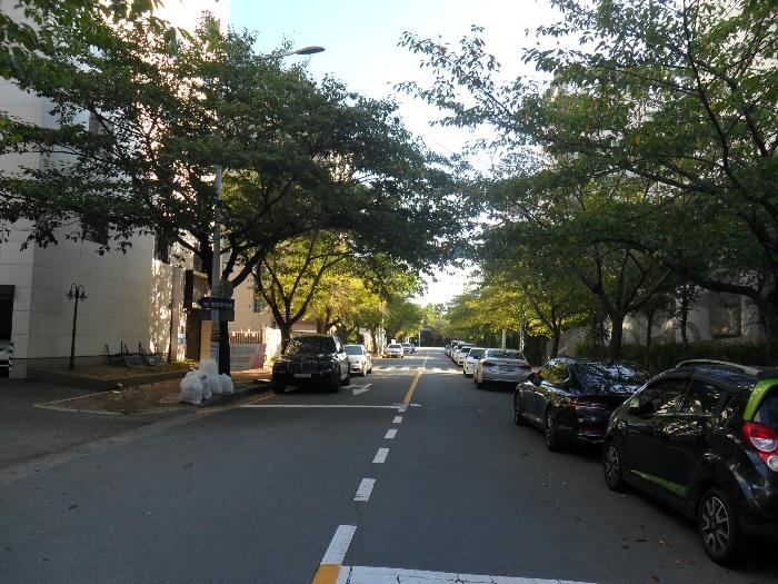 부산광역시 강서구 명지동 3237-4 숙박시설 경매 사진 3