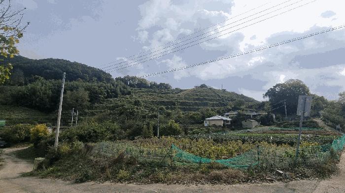 경상남도 김해시 임야