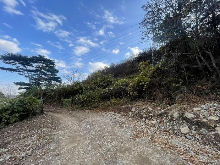 경상남도 김해시 대청동 800-26 전 경매 사진 1