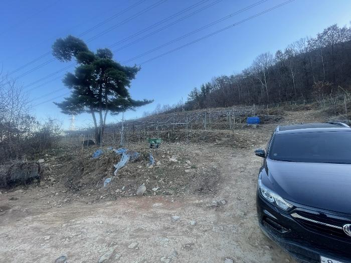 경상남도 김해시 대청동 800-26 전 경매 사진 14